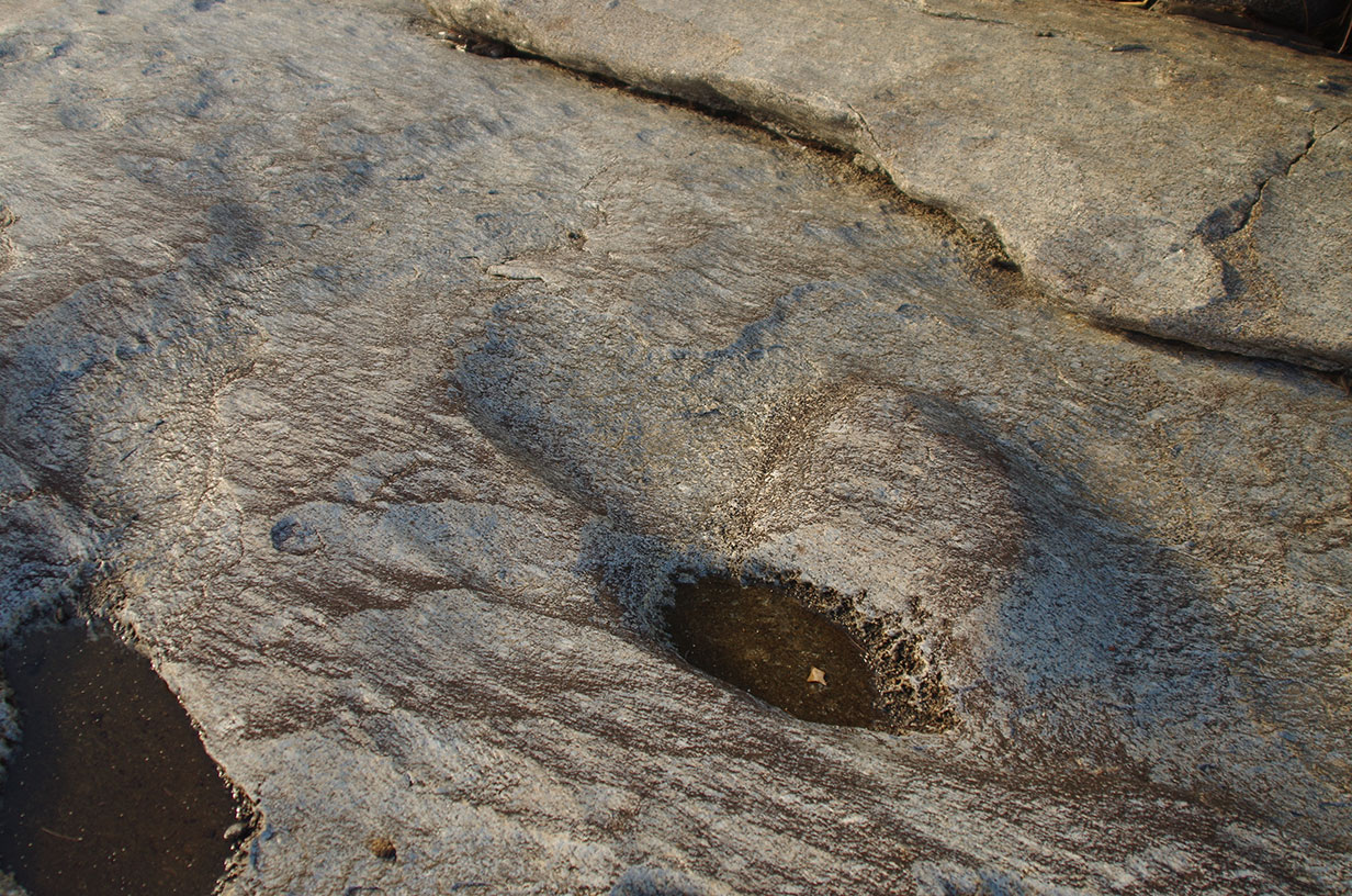 Granite Gorge Dinosaur Footprints