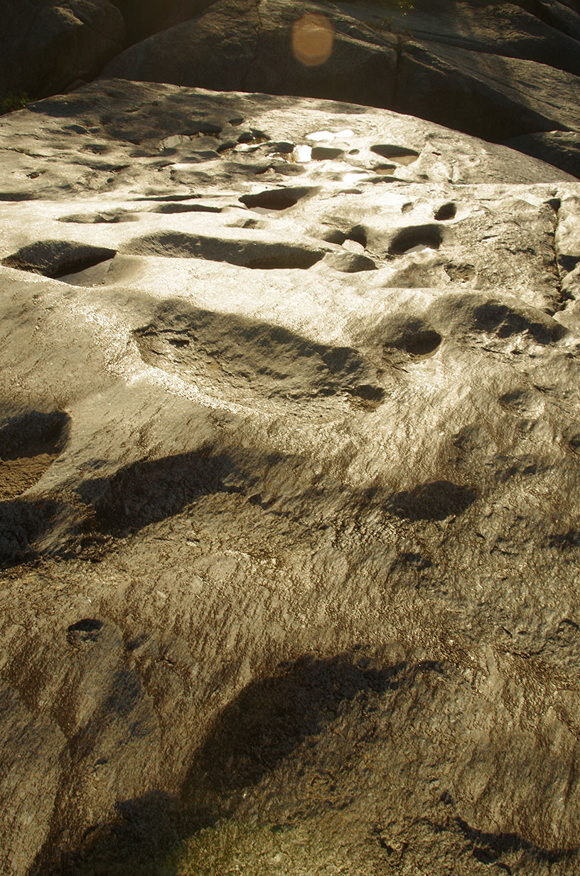 Granite Gorge Dinosaur Footprints